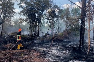 Kebakaran lahan di Palangka Raya kian marak akibat cuaca ekstrem