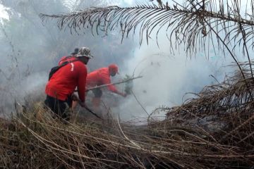 Pembasahan dan pendinginan di lahan gambut Kota Palangka Raya