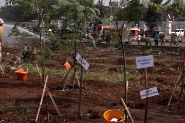 Pemkab Bogor tanam ratusan pohon, jadikan Stadion Pakansari area hijau