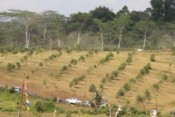Pemprov Kaltim pulihkan lahan eks tambang dengan tanaman pangan