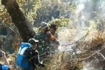 205 hektar lahan terbakar Rinjani berhasil dipadamkan tim TNGR