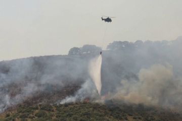 Kebakaran terjadi di kawasan hutan pantai selatan Albania