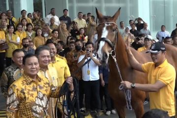 Kunjungi DPP Golkar, Prabowo Subianto dapat kejutan kuda