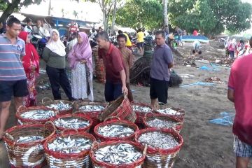 Tangkapan nelayan berkurang, DKP Sumbar upayakan sejumlah hal