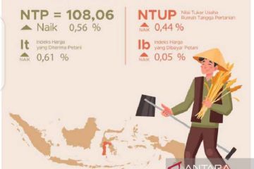 BPS: Nilai Tukar Petani Sulsel alami kenaikan 0,56 persen