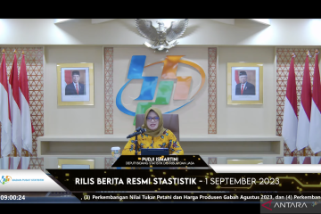 BPS: Ekonomi RI alami deflasi 0,02 persen pada Agustus 2023