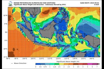 BMKG: Waspada gelombang tinggi hingga 4 meter pada 1-2 September