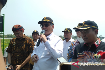 Wamentan minta pemerintah kabupaten/kota siapkan lahan 1.000 ha 