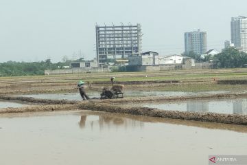 Bupati Karawang sebut pasokan air untuk sawah masih cukup dan aman