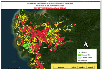 Walhi temukan 7.376 titik api di 235 konsesi sawit dan HTI di Kalbar
