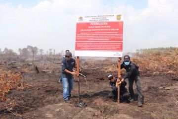 KLHK segel lahan di areal konsesi yang terbakar di Kalimantan Barat