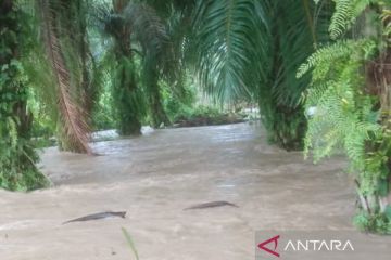 Tujuh kecamatan terendam banjir di Aceh Utara, 10.923 warga terdampak