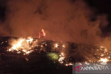 BPBD Babel tangani kebakaran lahan seluas 806,31 hektare selama 2023