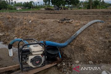 Petani gunakan mesin penyedot air