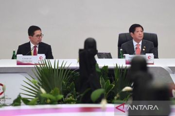 Ketua ABAC sebut ASEAN punya potensi besar tingkatkan ekonomi digital