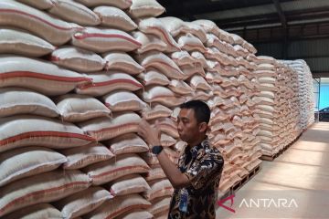 Bulog Cirebon salurkan bantuan beras untuk 613 ribu KPM