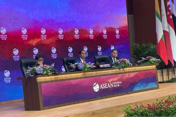 Indonesia bawa komitmen stabilitas dan perdamaian dalam KTT G20 India