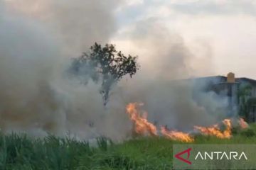 Lahan pekarangan dominasi area kebakaran Bekasi sepanjang Agustus 2023