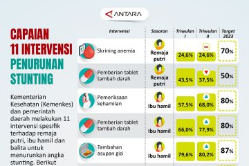 Capaian 11 intervensi penurunan stunting