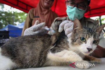 Sebanyak 6.493 hewan di Jaksel sudah divaksin rabies