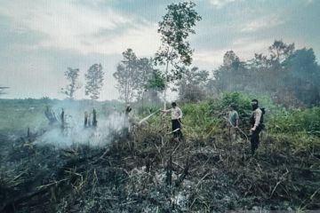 Kendalikan karhutla, BPBD Sumsel tingkatkan patroli darat dan udara