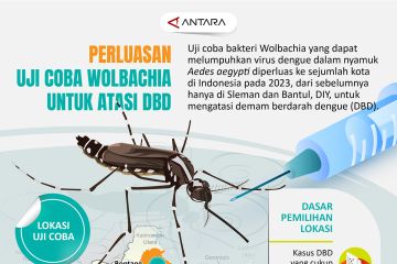 Perluasan uji coba Wolbachia untuk atasi DBD