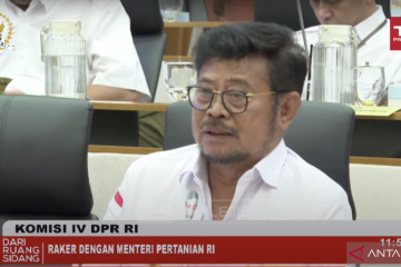 Mentan targetkan produksi beras 55,42 juta ton pada 2024