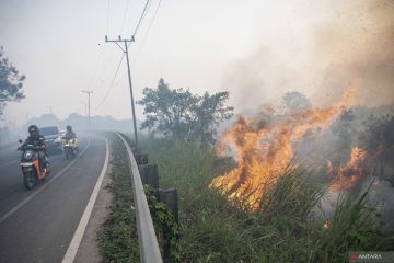 Pemadaman kebakaran lahan di Desa Rambutan