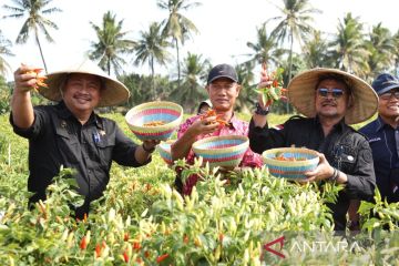 Mentan mendukung penuh pengembangan cabai di Lombok Timur