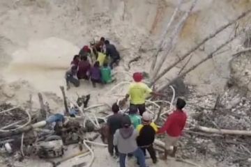 Penambang emas tewas tertimbun longsor di Kuantan Singingi Riau