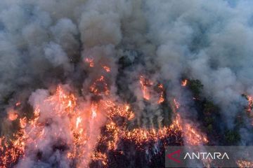 Kebakaran lahan di samping JTTS Palembang-Indralaya