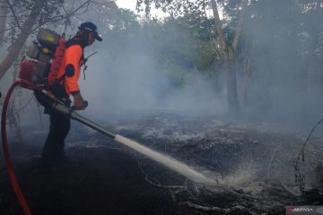 BNPB beri dukungan penguatan penanganan karhutla Kalbar