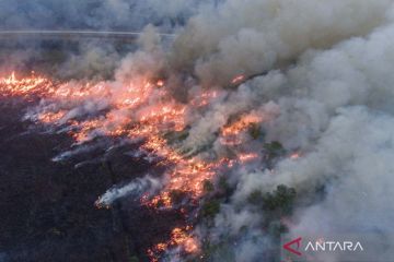 Kebakaran lahan di Ogan Ilir, Sumatera Selatan