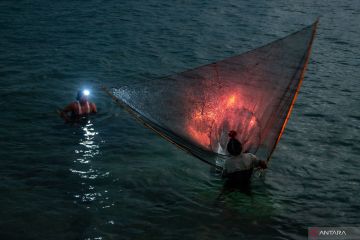 Musim tangkapan udang kecil