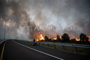 Satgas Karhutla Sumsel berjibaku padamkan karhutla dekat Tol Palindra