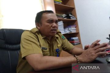 Distan Pulang Pisau minta petani tetap konsisten kembangkan kelapa