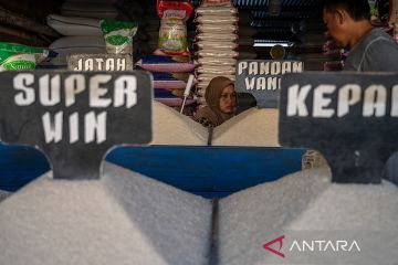 Harga beras naik tipis di Palu