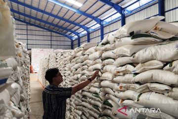 Pemprov Lampung sebut stok beras cukupi konsumsi masyarakat