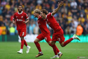 Liga Inggris: Liverpool kalahkan Wolverhampton Wanderers 3-1