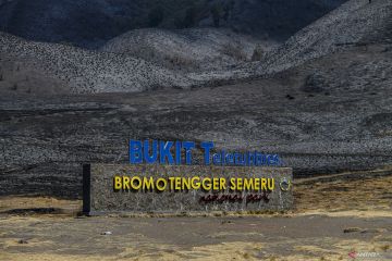 Yang tersisa dari kebakaran hutan dan lahan di Gunung Bromo