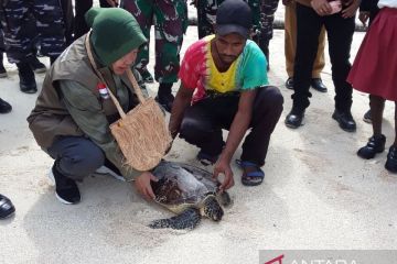 Mensos upayakan akses anak Kepulauan Mapia jangkau sekolah di Biak