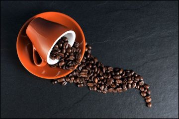 Ketahui perbedaan kopi jenis arabika dan robusta