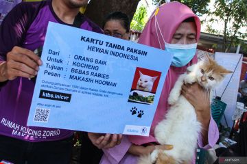 Vaksinasi rabies gratis di Makassar