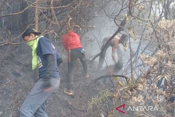 Tim gabungan diturunkan ke Gunung Gede antisipasi kebakaran meluas