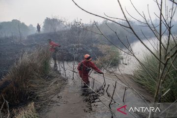 Upaya pemadaman kebakaran lahan gambut di Ogan Komering Ilir