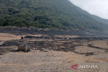 TNGGP mencatat total lahan Gunung Gede terbakar 29 ribu meter persegi