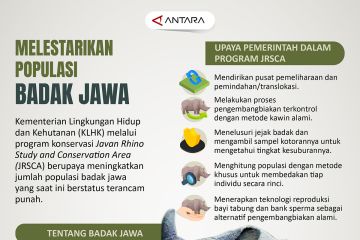 Melestarikan populasi Badak Jawa