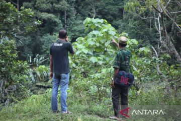 KLHK tetapkan 22.549 hektare wilayah hutan adat di Aceh