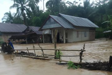 Hujan deras, 70 KK dan 50 rumah terdampak banjir di Donggala