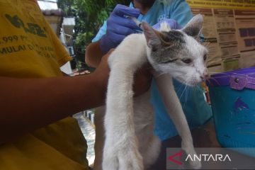 Mempertahankan DKI Jakarta tetap bebas rabies